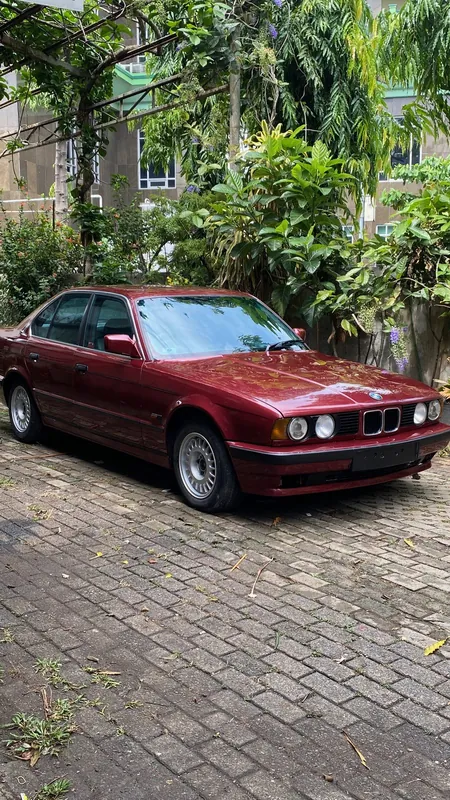 Maroon E34 front three-quarter in the garden yard