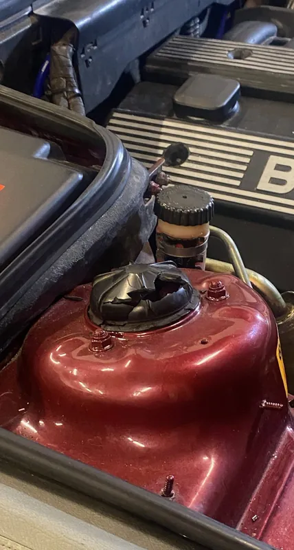 BMW six-cylinder cam cover and the maroon strut tower