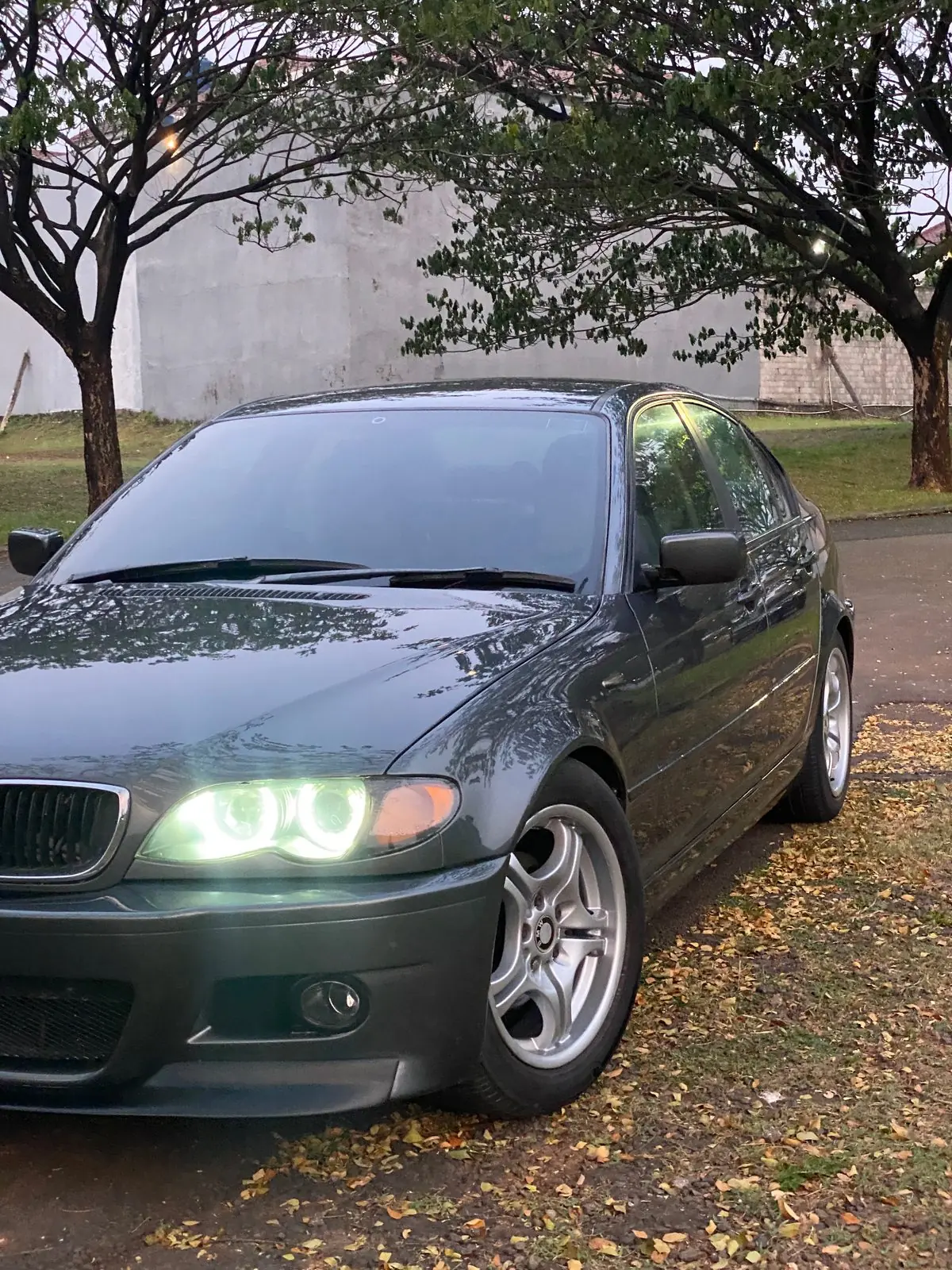 Finished dark grey E46 front three-quarter with angel-eye headlights on, grass verge