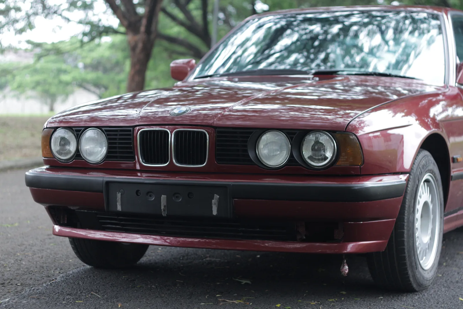 Front of a maroon BMW E34 on a tree-lined road