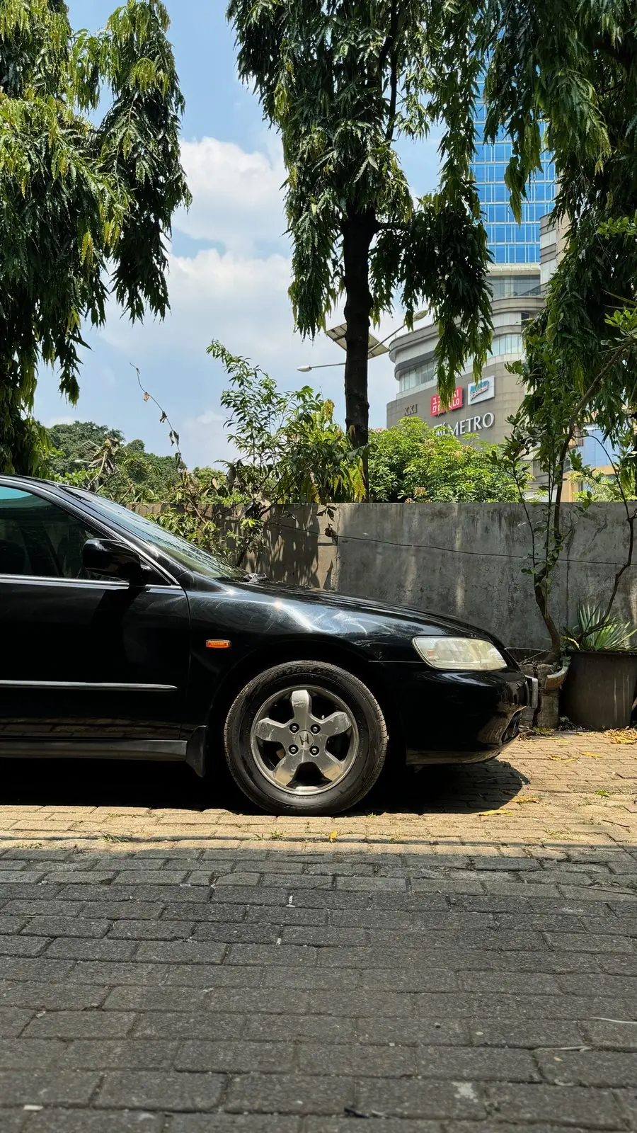 Finished black Honda Accord side profile on paved yard, glossy paint
