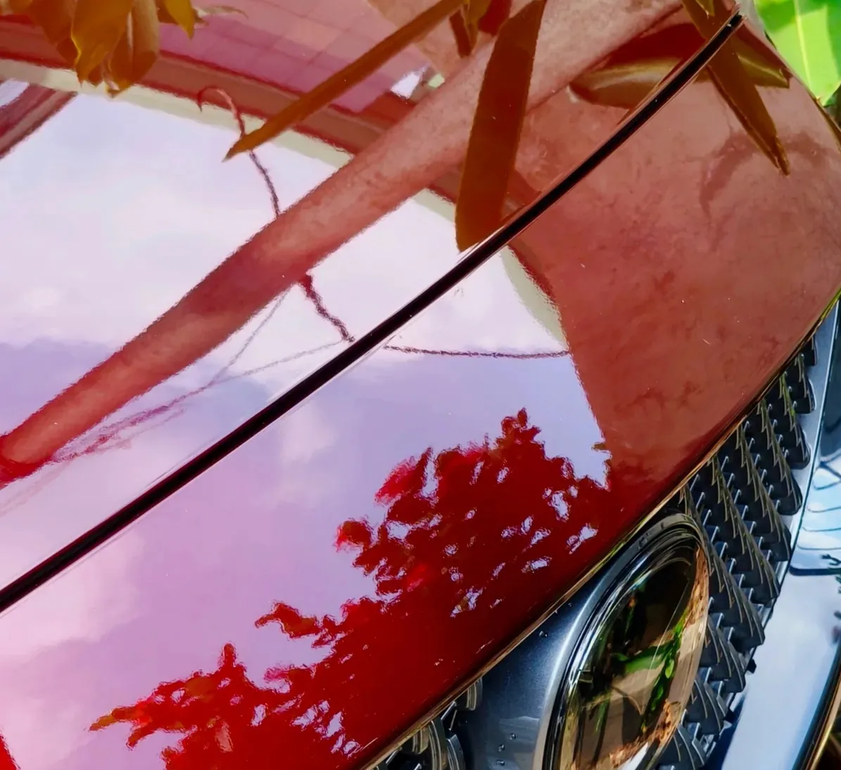 Glossy red Mazda 6 bonnet reflecting leaves and sky