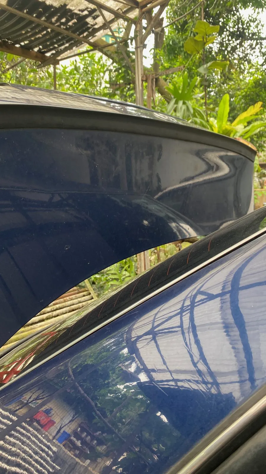 Faded dull bonnet against a glossy blue wing, Corolla